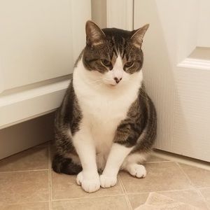 Meet your Posher, Cassidy